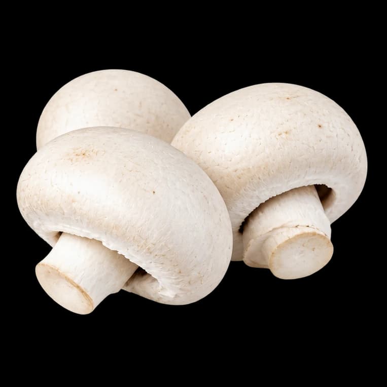 Champignon